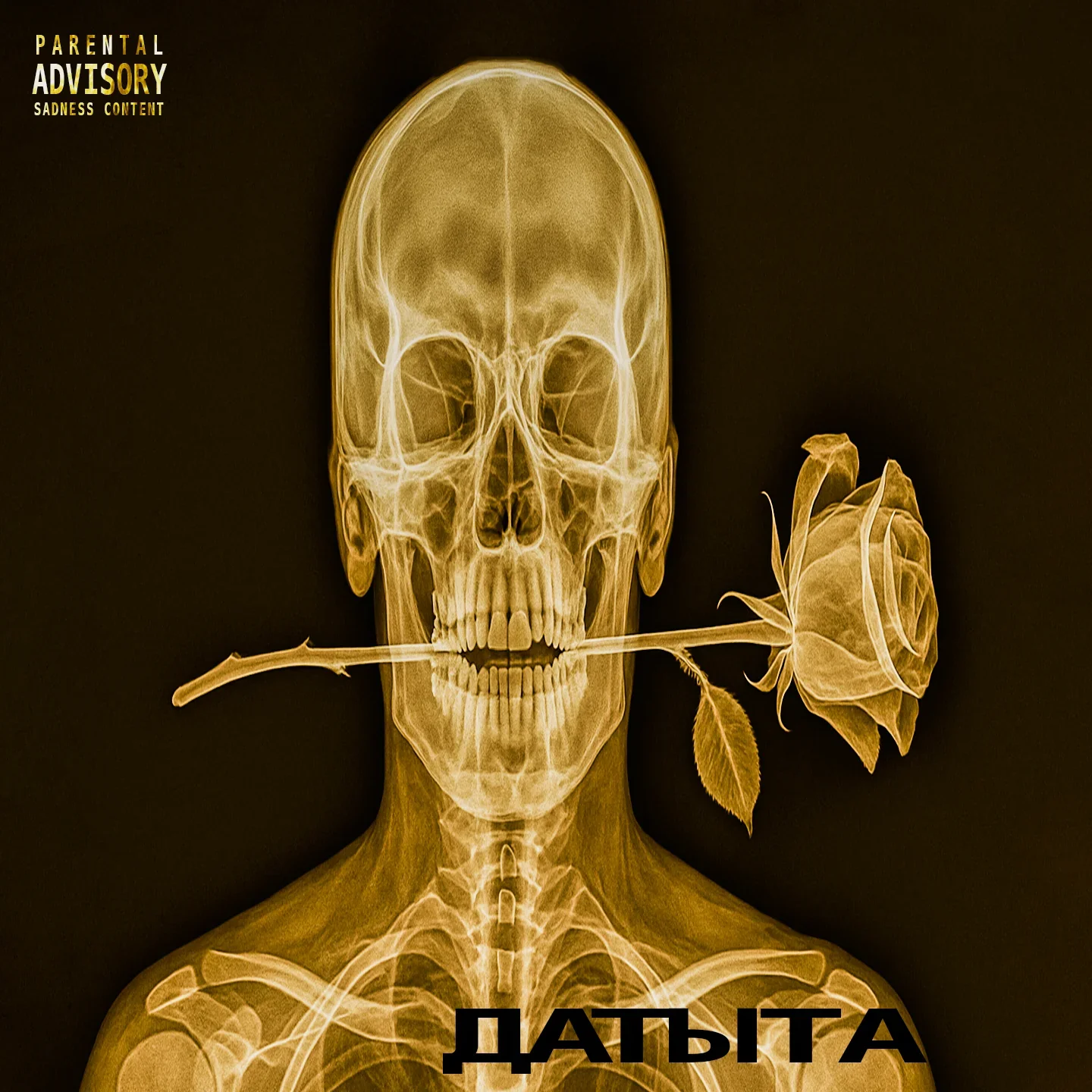 SORRY.dcm
28.11 - Да, ты, та